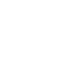 GitHub Octocat Icon